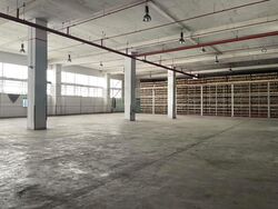 Bayshore Terrace (D16), Warehouse #535174691
